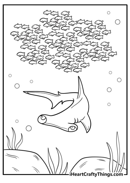 Hammerhead shark near a school of fish coloring sheet