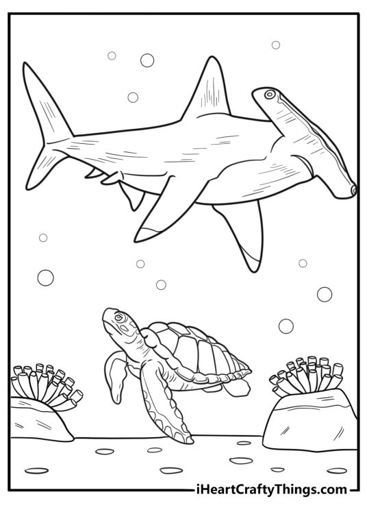 Hammerhead shark passing by a sea turtle coloring page