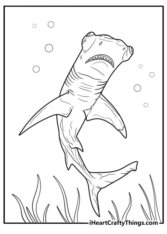 Hammerhead shark swimming above seagrass bed coloring sheet