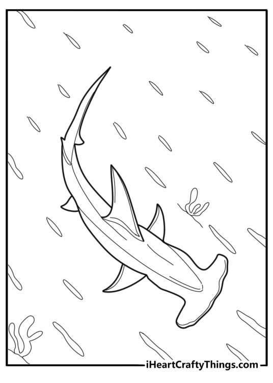 Hammerhead shark swimming in the ocean coloring page