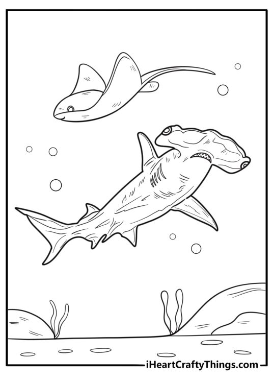 Hammerhead shark swimming with stingrays coloring page
