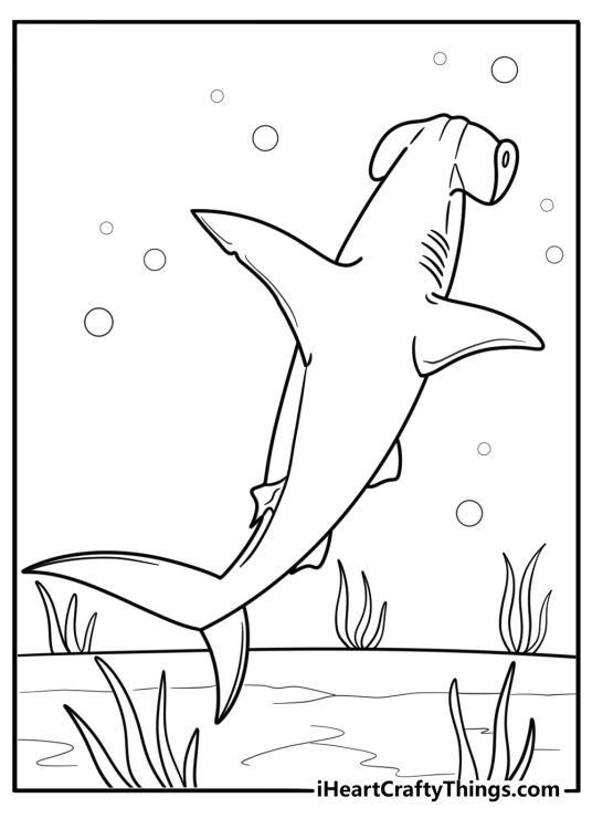 Hammerhead shark turning while swimming coloring sheet