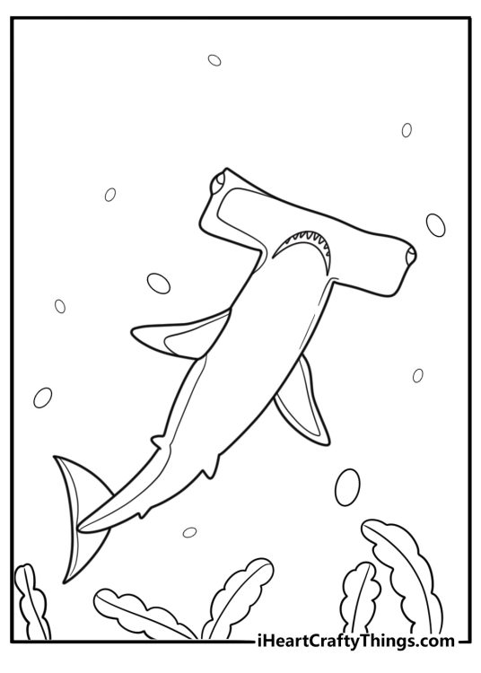 Hammerhead shark with long dorsal fin coloring page