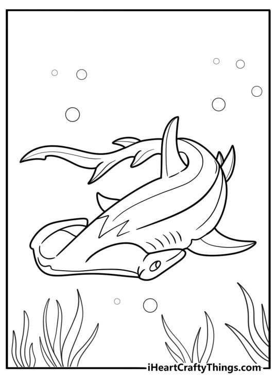 Hammerhead shark with streamlined body coloring page