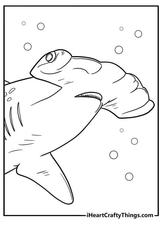 Hammerhead shark with visible eyes on sides coloring page