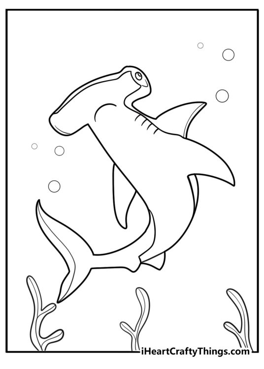 Hammerhead shark with visible gills and fins coloring page