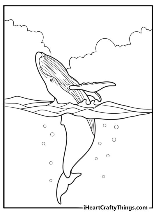 Humpback whale jumping out of the water coloring sheet