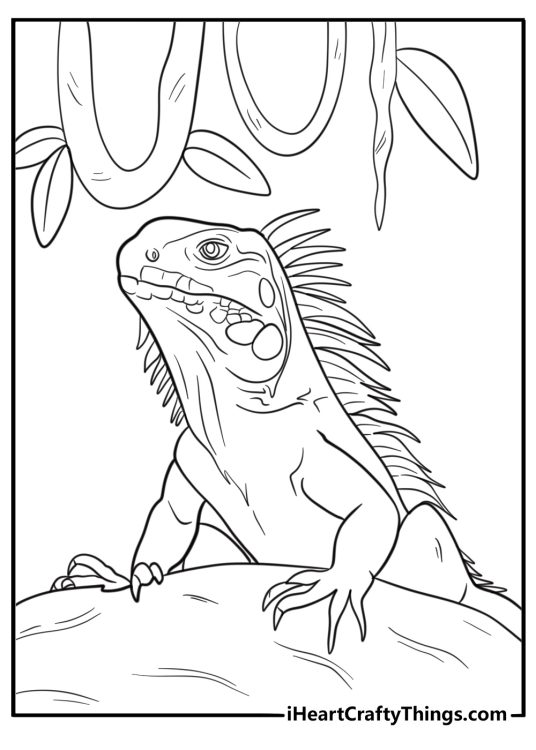 Iguana among ferns and vines free printable coloring page