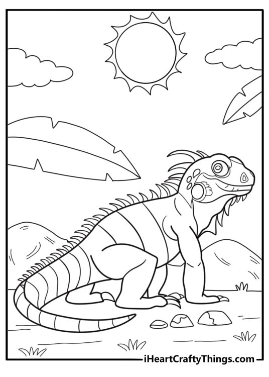 Iguana basking in the sun free coloring page pdf