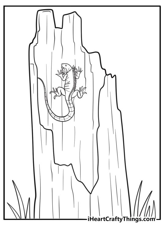 Iguana camouflaged on a tree trunk coloring sheet