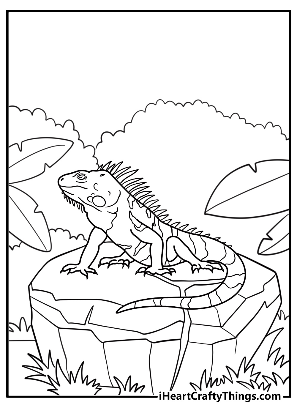 30 Free Iguana Coloring Pages For Kids