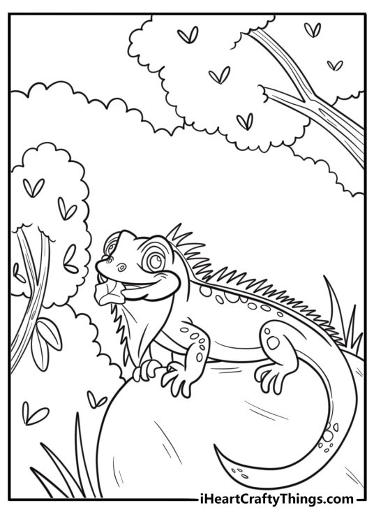 Iguana eating leaves from a bush printable coloring sheet
