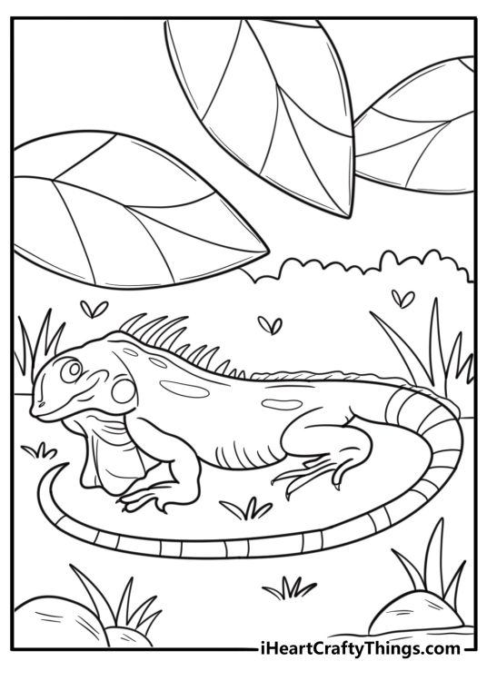 Iguana hiding under leaves near a tree root printable coloring sheet