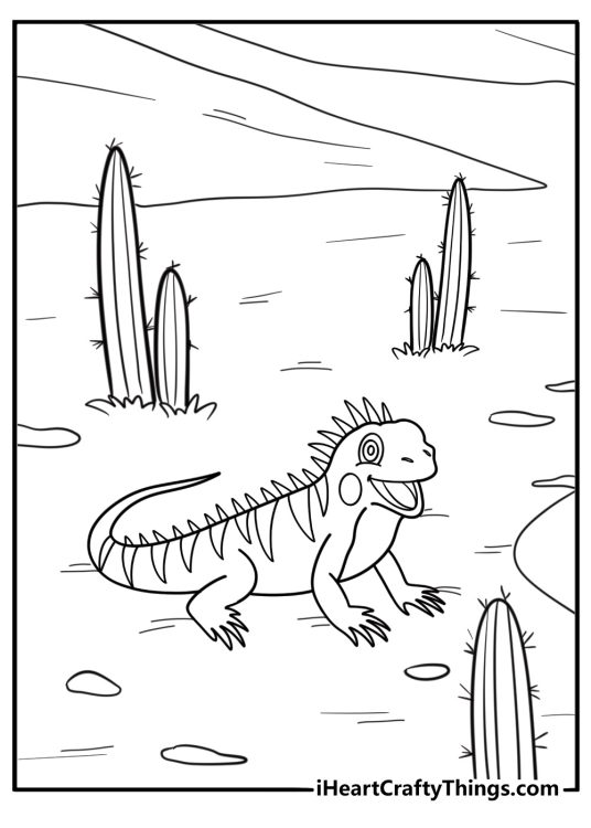Iguana in the desert near cactus coloring page