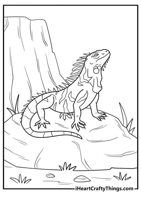 Iguana looking around in a dry forest fun coloring sheet