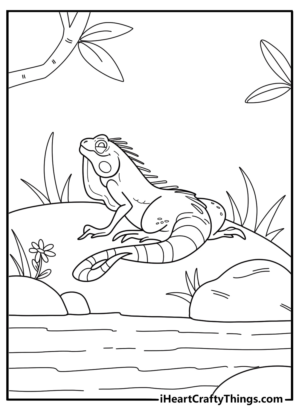 30 Free Iguana Coloring Pages For Kids
