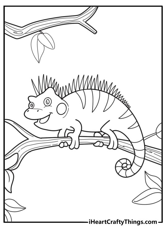 Iguana on a tree branch coloring page for kids