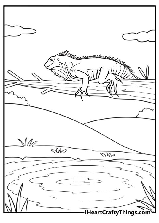 Iguana perched above a pond printable coloring page