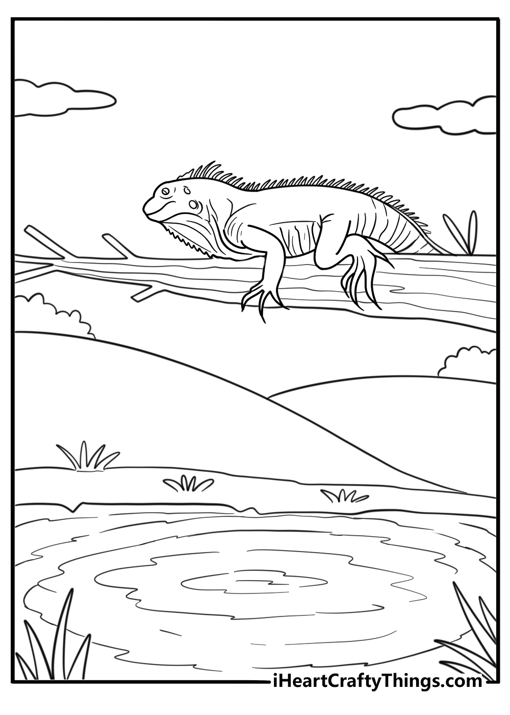 30 Free Iguana Coloring Pages For Kids