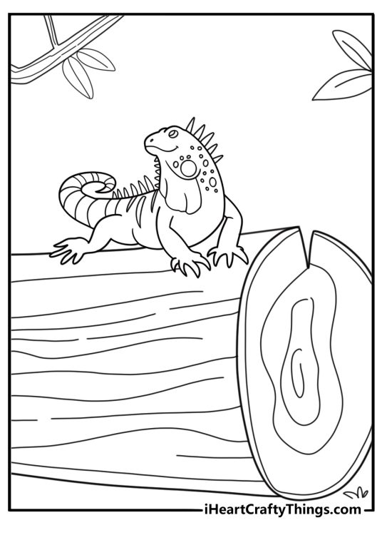 Iguana resting on a log coloring page for kids