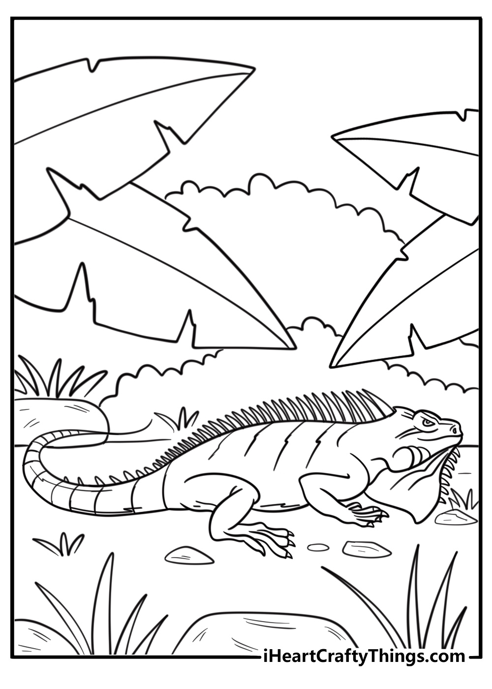 30 Free Iguana Coloring Pages For Kids