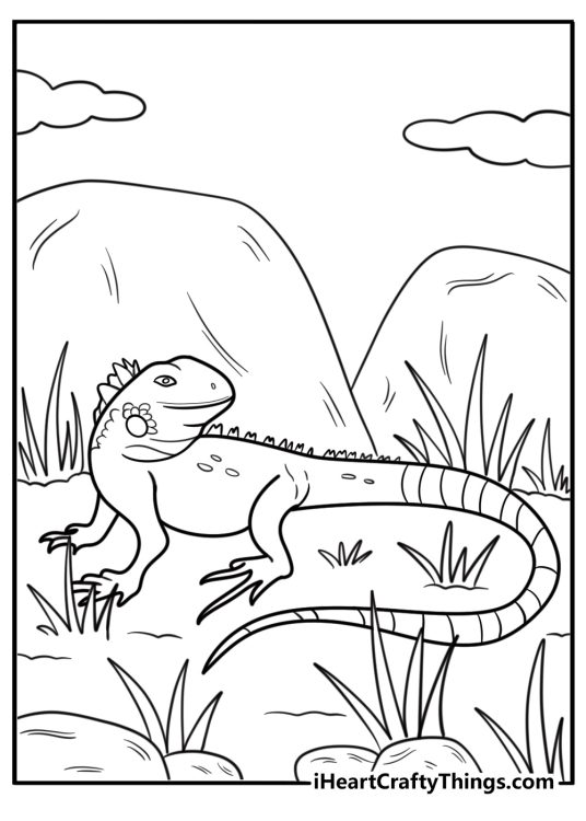 Iguana walking through tall grass coloring page