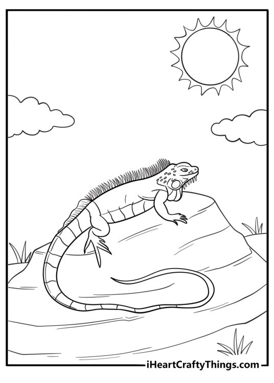 Iguana with long claws on a rock detailed coloring sheet