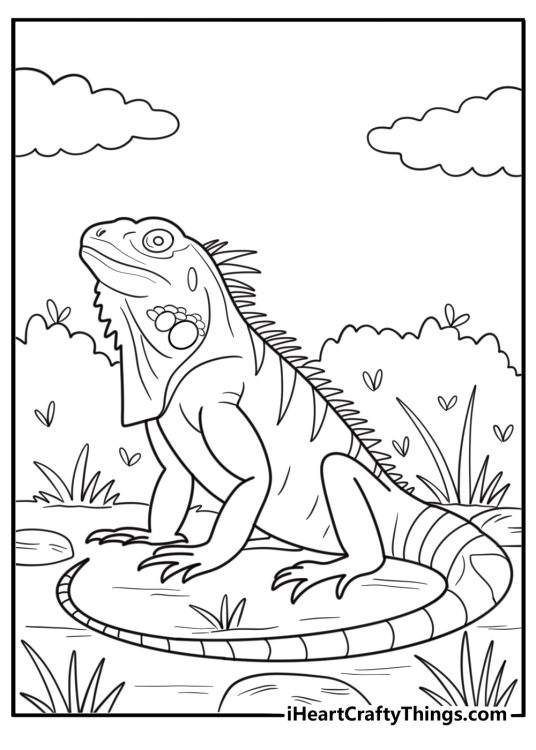 Iguana with spiky back and long tail detailed coloring sheet