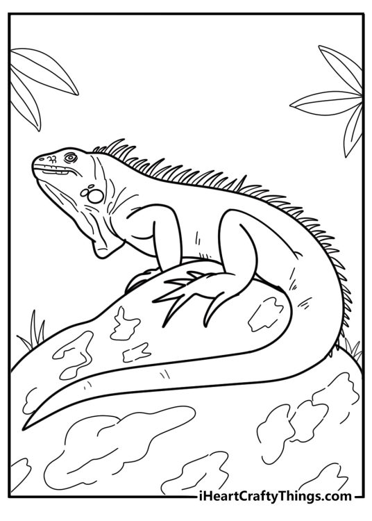 Iguana with textured skin and long toes fun coloring sheet