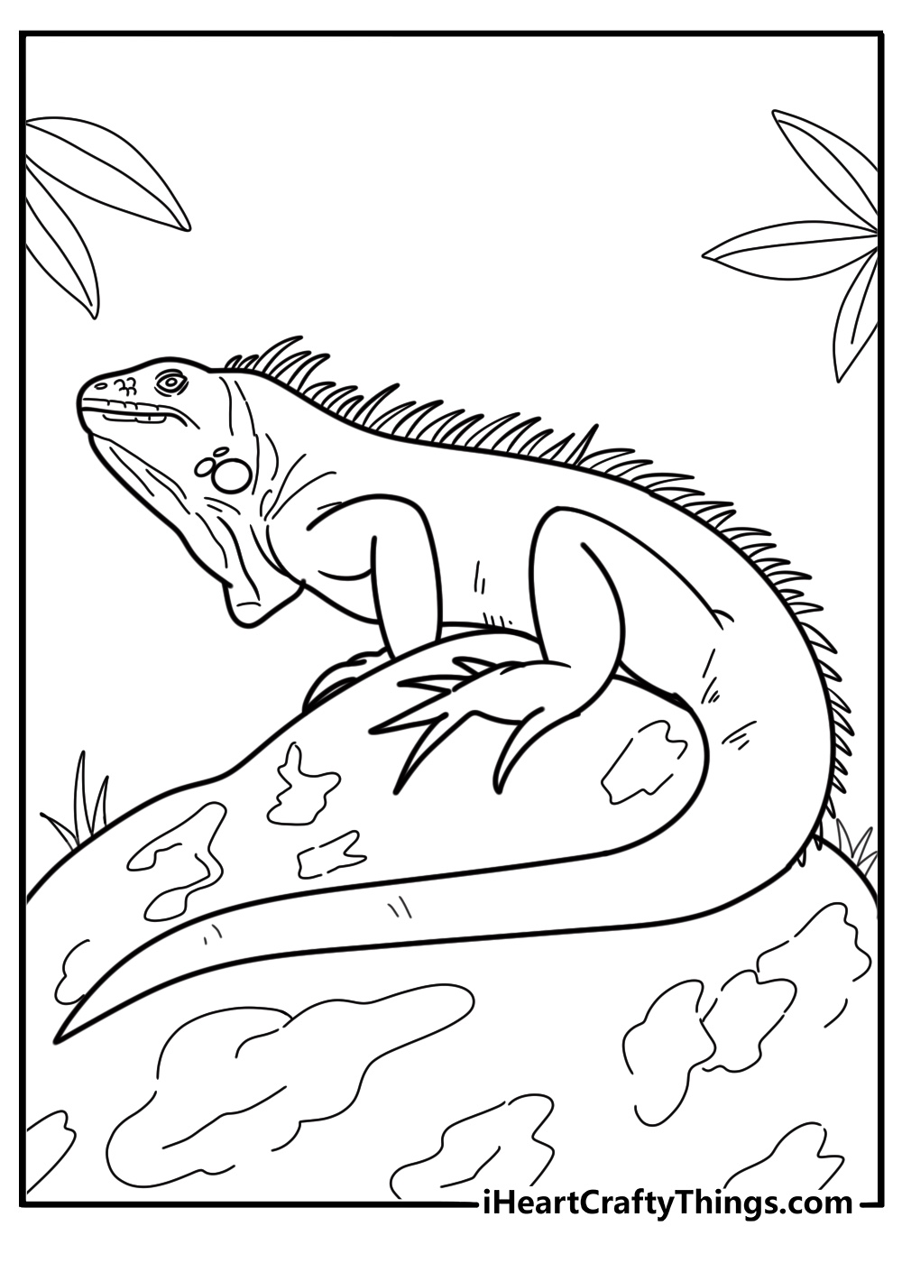 30 Free Iguana Coloring Pages For Kids