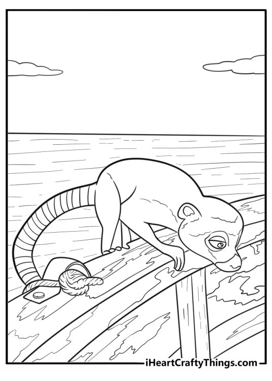 Lemur climbing aboard the drifting flow sailboat