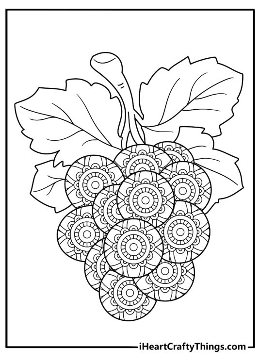 mandala style grapes pattern detailed coloring page