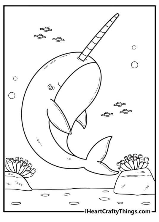 Narwhal with long tusk swimming coloring sheet