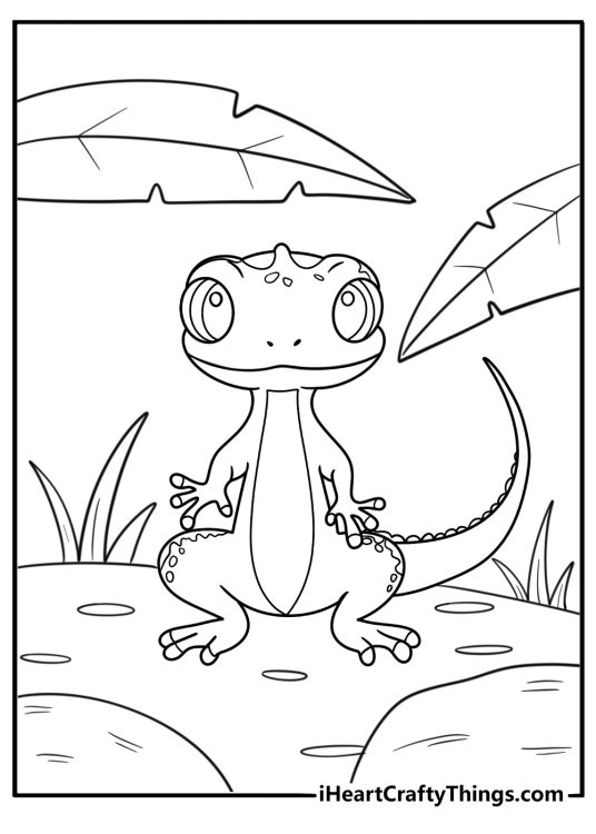 Nocturnal gecko with large eyes printable coloring page