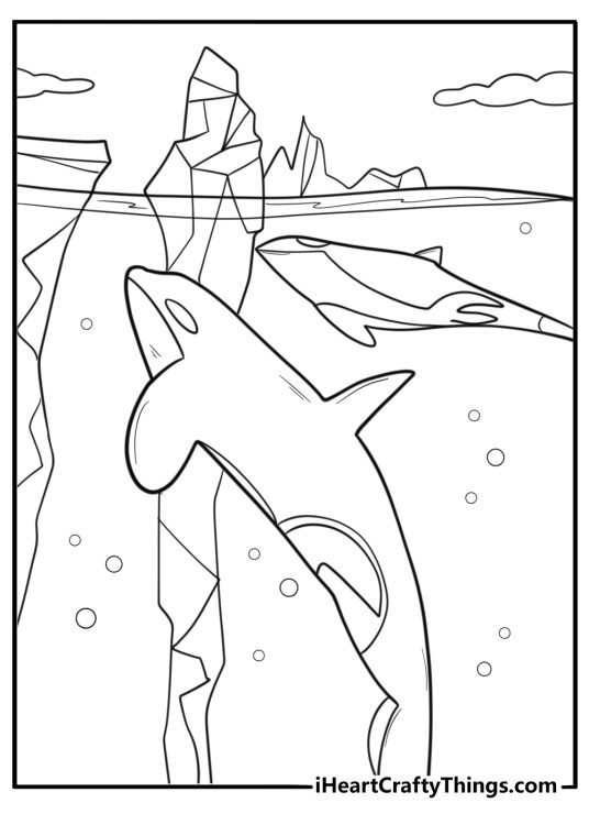 Orca swimming near icebergs coloring sheet