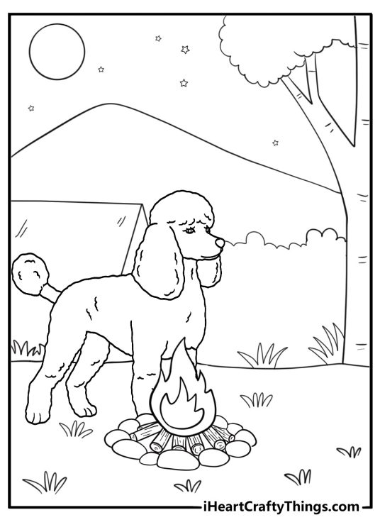 poodle camper by a tent with pine trees night sky coloring sheet
