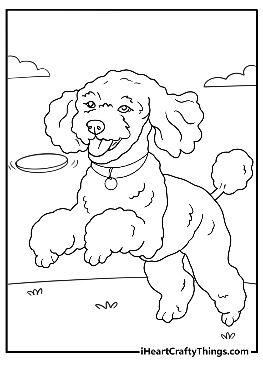 poodle catching a frisbee in a park for kids coloring pdf download