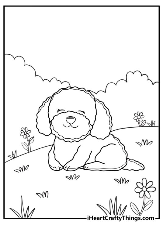 Poodle coloring pages