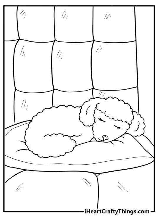 Poodle curled up asleep in a dog bed coloring page