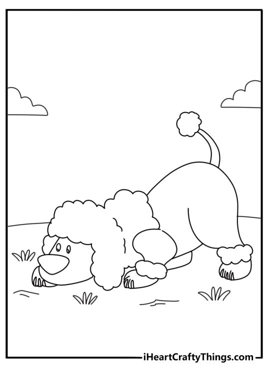 poodle nose work tracking a scent trail with training cones simple coloring page