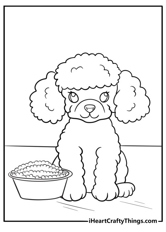 Poodle puppy sitting next to a food bowl coloring page
