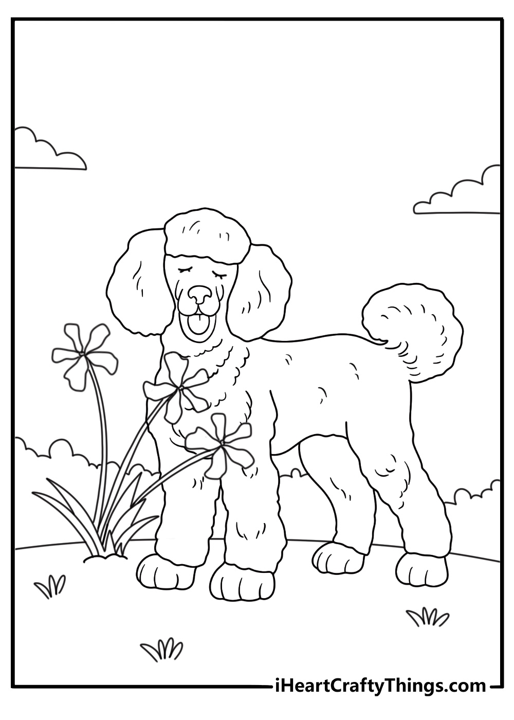 poodle sniffing wildflowers in a meadow printable coloring page