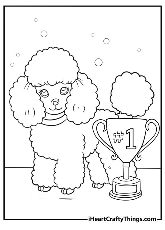 Poodle standing next to a trophy from a dog show coloring sheet