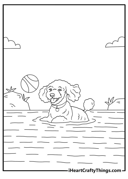 poodle swimming in a lake retrieving a floating ball coloring page