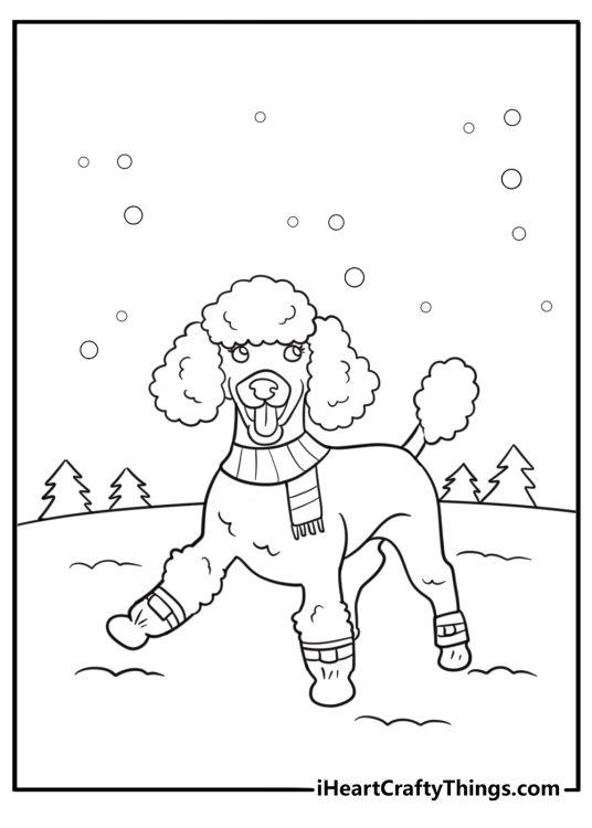Poodle wearing winter boots and scarf in the snow coloring sheet
