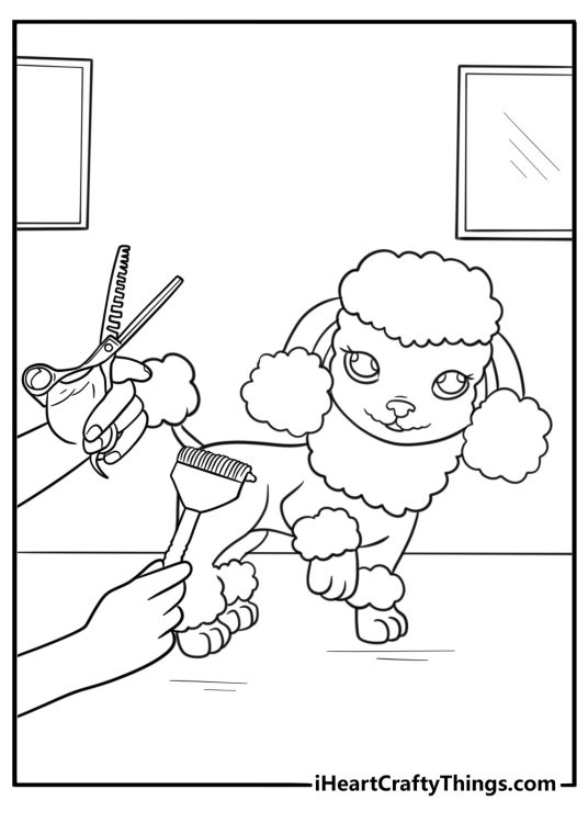 Poodle with curly hair getting a trim at the groomer coloring page