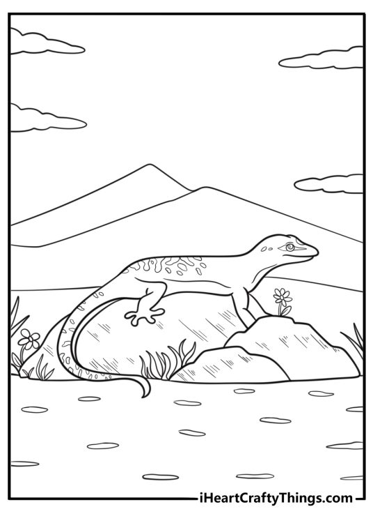 Realistic gecko on a rock detailed coloring sheet