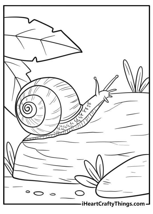 Realistic snail climbing a rock printable coloring sheet