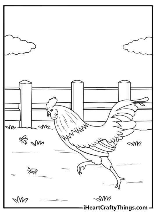 Rooster chasing a bug in the grass coloring page