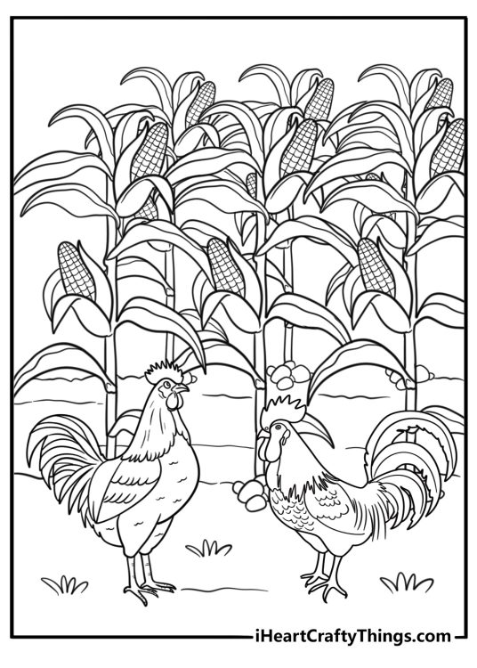 Rooster looking alert in a cornfield coloring page